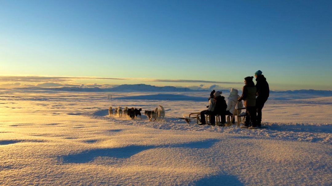 Winter Dog Sledding Tour With Transfer From Reykjavik