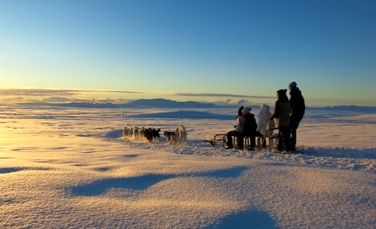 Dog Sledding in Iceland