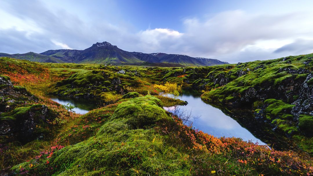 Blue Lagoon and the Reykjanes Peninsula